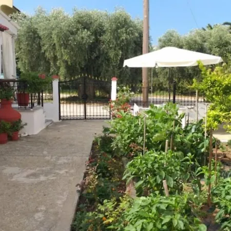 Katerina's Cozy Skala Sotiros